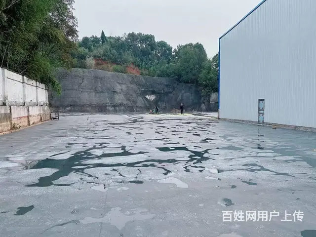 （老板本人）G319国道边新建独门独院厂房仓库出租 6187 - 图片 5