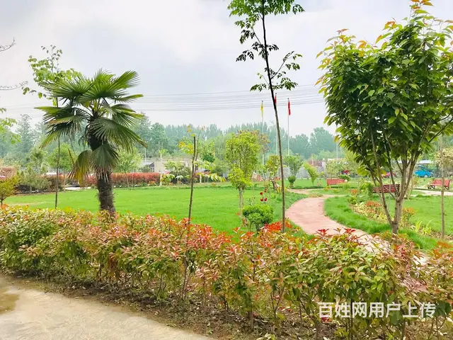 丰县厂房出租（拥有土地证、房产证、环评证等） - 图片 4