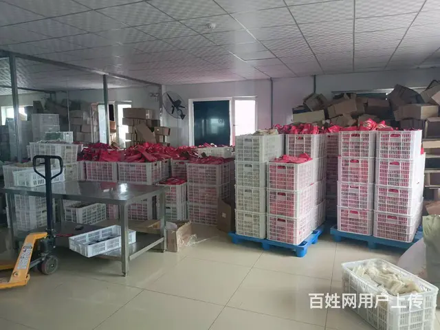 香坊区东兴路食品加工厂诚心转让 - 图片 2