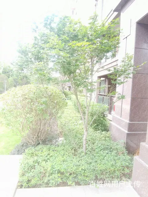 毛坯房出售 - 图片 2