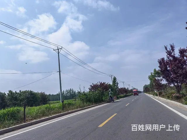 临沭县青云镇厂房出租 - 图片 9