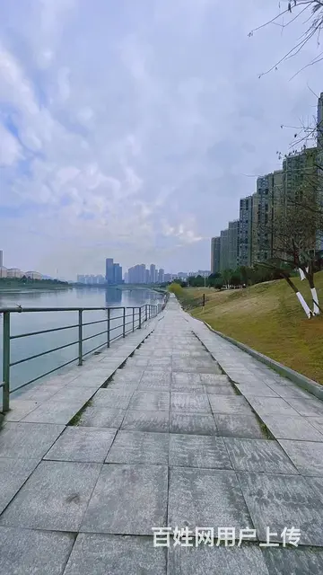 宜春嘉晨东郡金悦湾天秀湾洋房四房 - 图片 4
