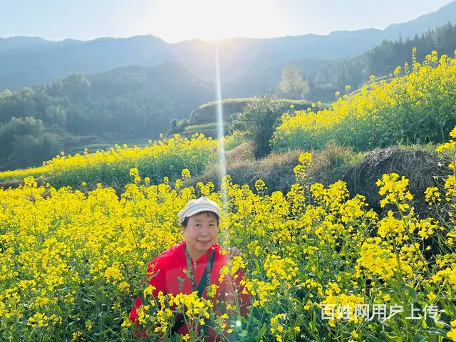 人面桃花 佳偶天成 - 图片 3