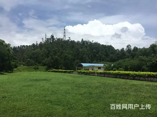 珠海横琴专业狗狗寄养酒店/珠海横琴专业训犬学校 - 图片 2