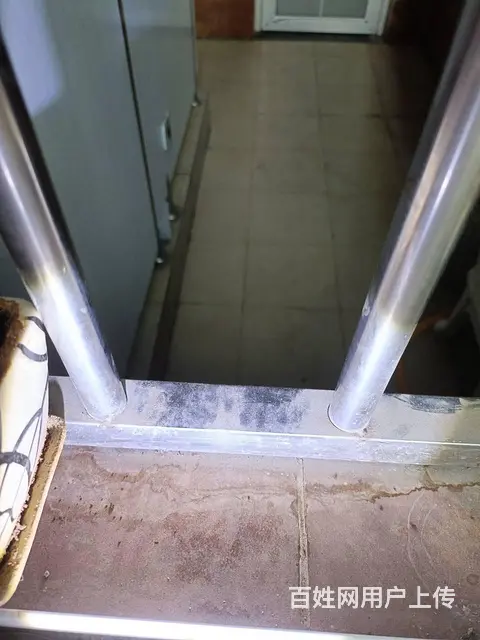 找猫找狗郑州专业寻宠团队成功帮助客户找到猫咪 - 图片 1
