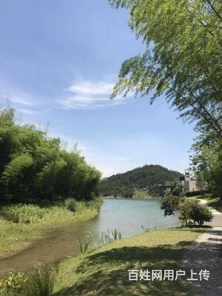 优优学府 精装修住宅 实验小学 师范附属学校，湿地 - 图片 12
