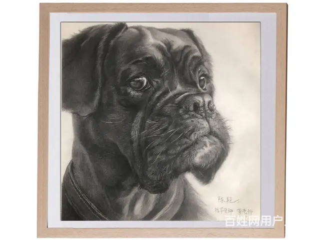 素描基础造型基础风景素描学习杭州华澄教育华艺绘画室 - 图片 1