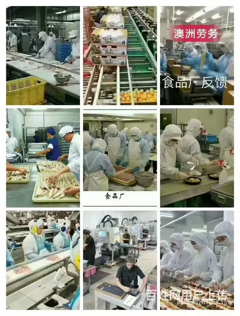 澄迈正规出国劳务派遣公司招塔吊、吊车司机出国打工派遣海外 - 图片 5