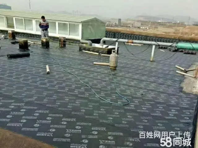 专业防水堵漏，精准定位，快速修复 - 图片 2