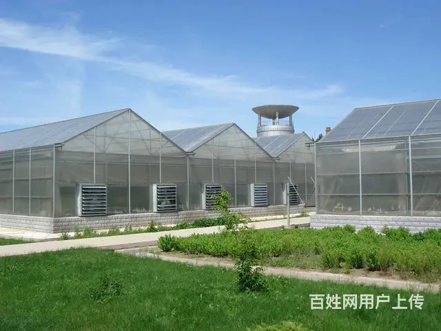 苏州卓尼PC板温室大棚，生产加工一体，可定制 - 图片 6