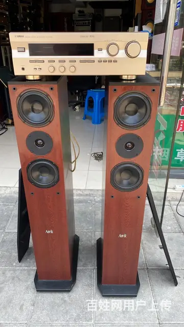 转让一对丹麦雅锐发烧音箱，低音在侧面，配套马来西亚 - 图片 1