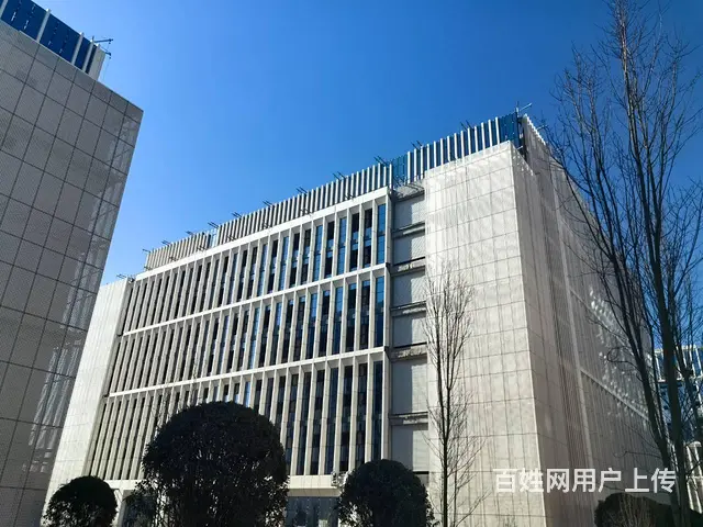 高新区 电子信息产业园 即将开园 单层厂房对外出租 - 图片 7
