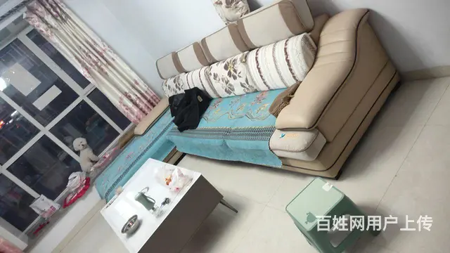 出租 - 图片 2