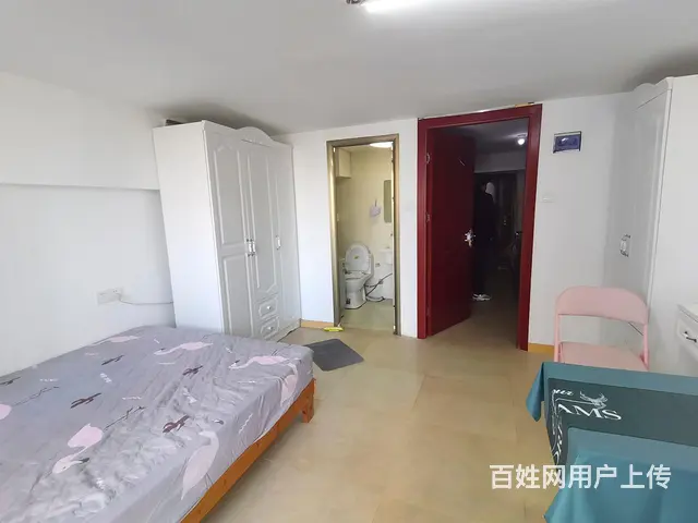 岭兜佳园地铁口旁明丰财富精装一房一厅的套可看 - 图片 4