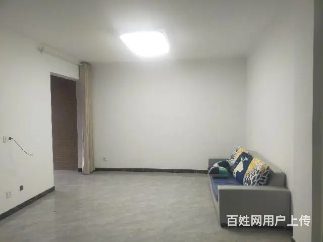 新房子出租啊，不能养狗不能养猫 - 图片 2