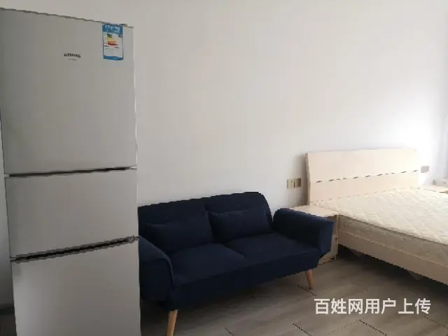 丽月湖岸单身公寓出租 - 图片 8