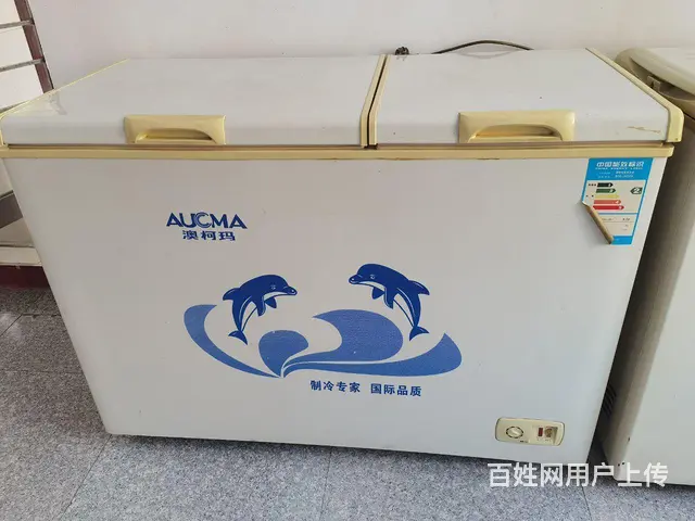 【搞定了！】冰柜澳柯玛双温的 - 图片 1