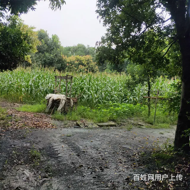 土地带房整租 - 图片 3