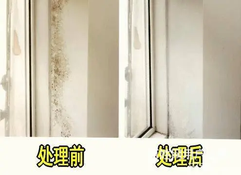 广州上门除霉公司，越秀区正规除发霉，办公室除霉服务 - 图片 4