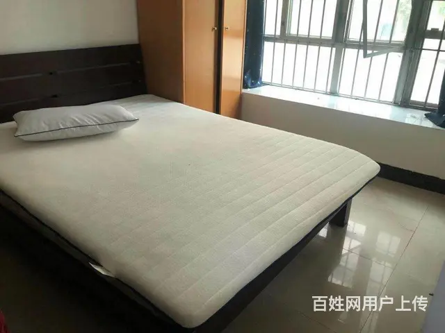 金碧花园 1室0厅1卫 2000元月 配套齐全 - 图片 1