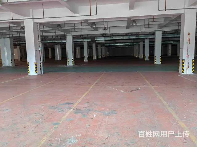 高新区高架8000平，可分租，形象好，有坡道，汽车可开上楼。 - 图片 10