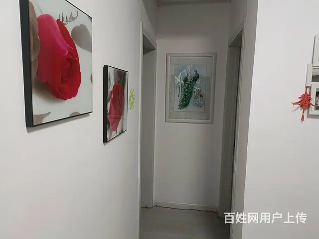 一实验九中 超低价  松北二区 普通住宅 精装修 - 图片 4