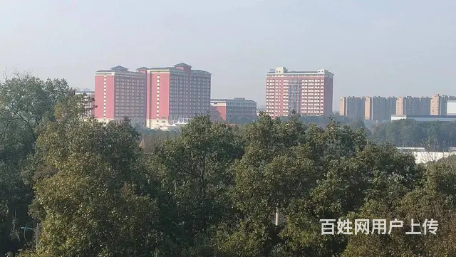 A（个人）黄兴镇干杉附近独门独院编号：1014 - 图片 6
