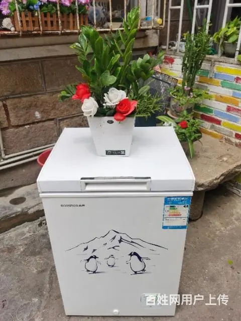 转让一台9成新左右的容声牌一级节能冰柜 - 图片 6