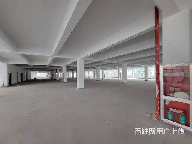 古里全新独栋厂房每层5300平，配有4部3吨货梯，有食堂宿舍 - 图片 7