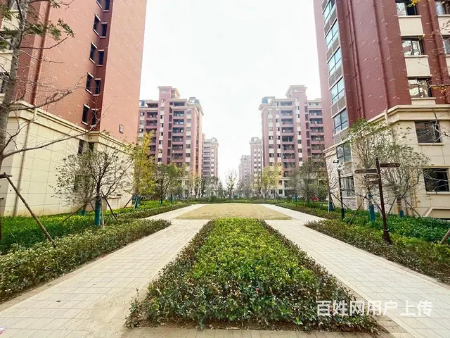 城东轻轨口旁 家主 阳明府学旁时代樾府 好楼层带车位 - 图片 11