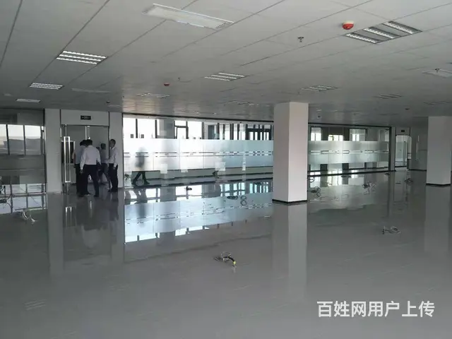 浑南丨国际软件园丨独栋丨平层丨小面积房间丨多种面积丨价格面议 - 图片 5