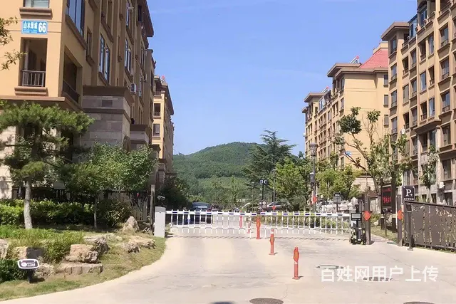 全新精装首次出租 - 图片 7