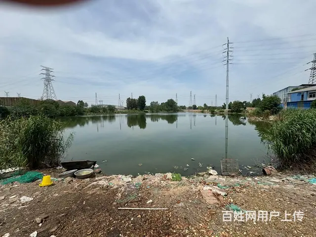（徐州找店网）泉山区40亩鱼塘出租 - 图片 5