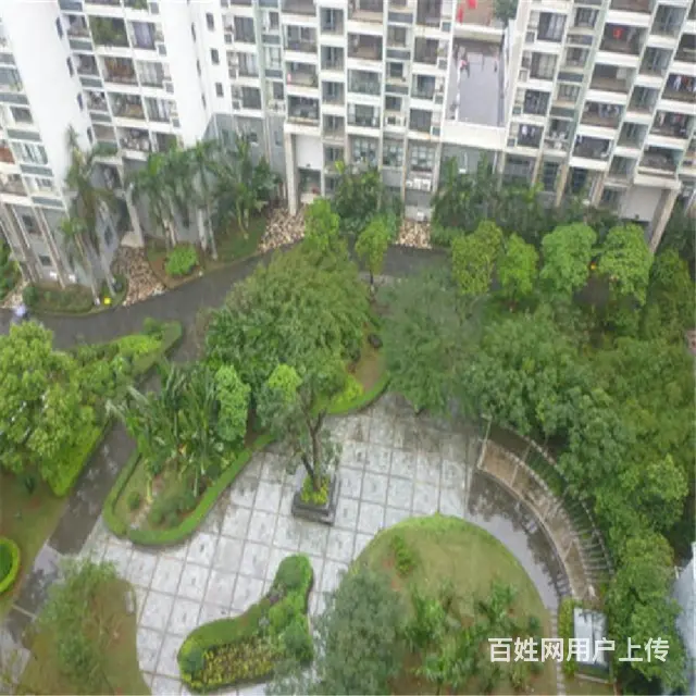 南沙路商圈    都市森林4房285,电梯4房 - 图片 9