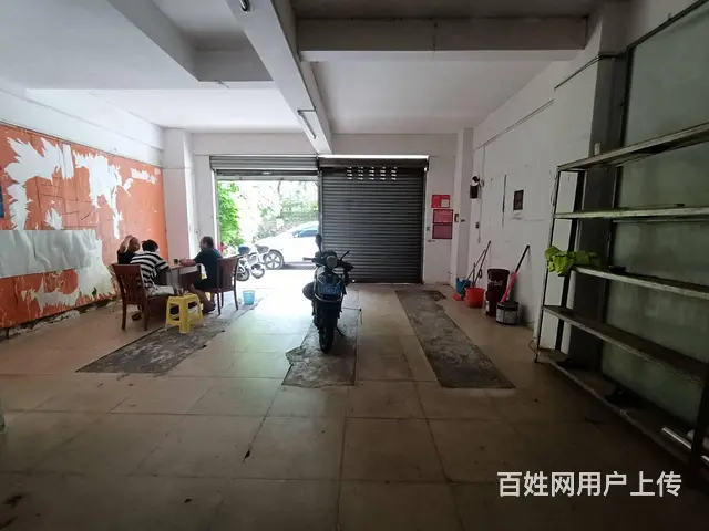 （51旺铺推荐）金盘金花路82平临街旺铺招租 - 图片 3