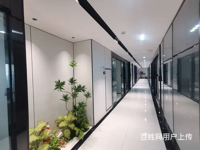 成都长宝大厦-精装修！拎包入住！还价就租 - 图片 8