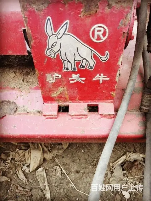 驴头牛打浆机 - 图片 3