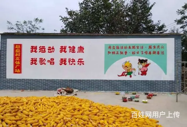 恩施手绘壁画农村墙画手绘画水塔美化工程 - 图片 3