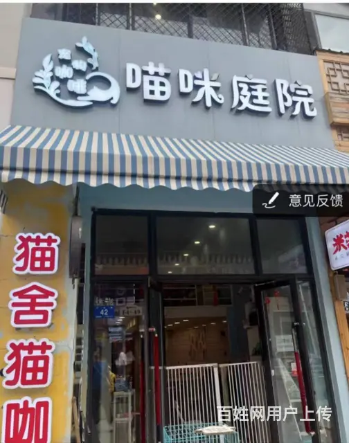 南岗 哈西万达金街商铺出兑 猫咖出兑 宠物店饮品店出兑 - 图片 1