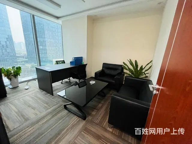 绿地中央广场，商圈覆盖，精装拎包，价格条件好谈，房东直租！ - 图片 3