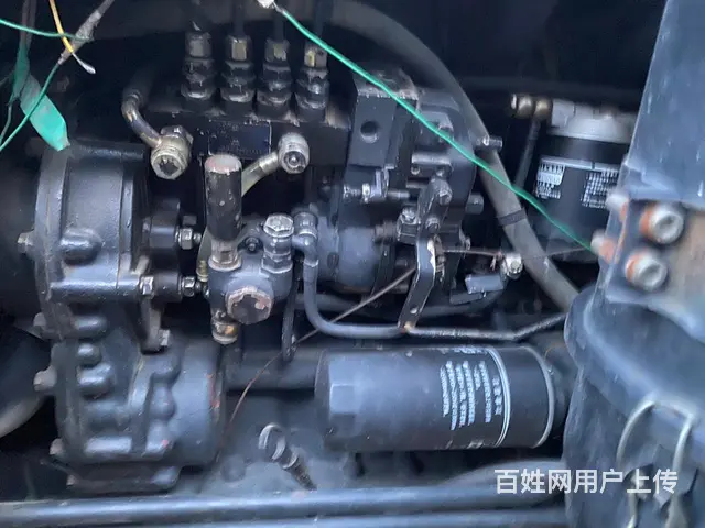 东方红 - 图片 3
