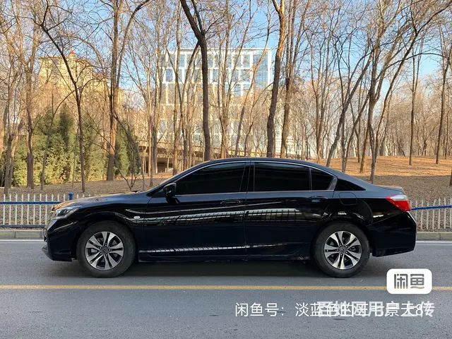 16雅阁 - 图片 1