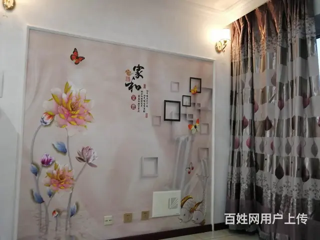个人 免中介费 豪华装 - 图片 1