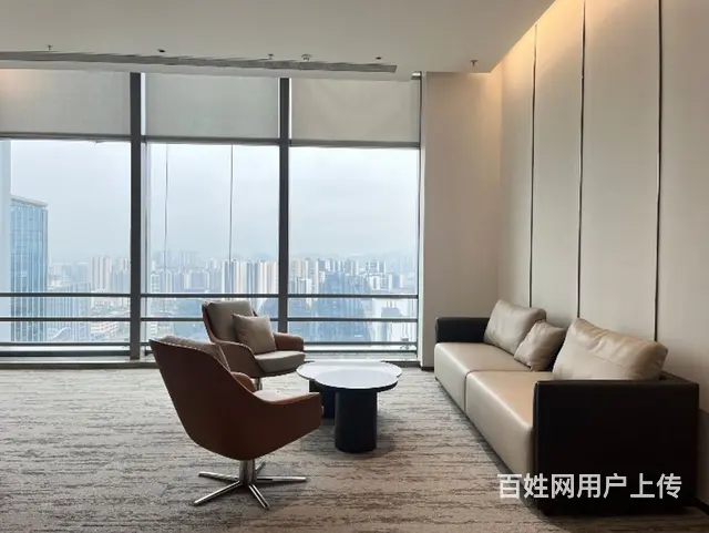 超长免租期，高新区科创北围集合地 - 图片 4