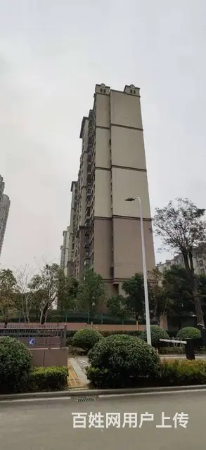 可短租月付 光谷七路 华为 未来科技城 人福 药明 - 图片 11