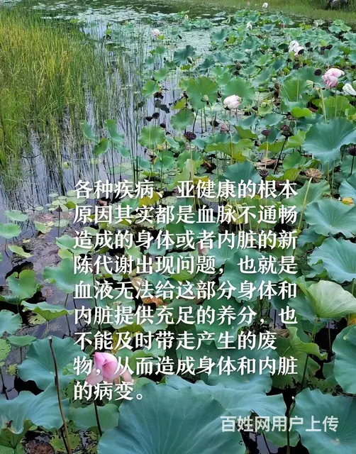 道家气功私教课程 - 图片 2
