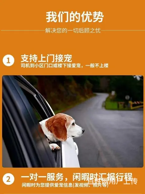 甘孜周边宠物托运（猫狗活体快递）陆运 空运至全国 - 图片 1