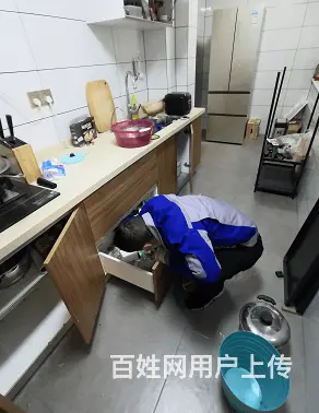 商丘专业灭蟑螂公司商丘环境消杀服务 - 图片 1