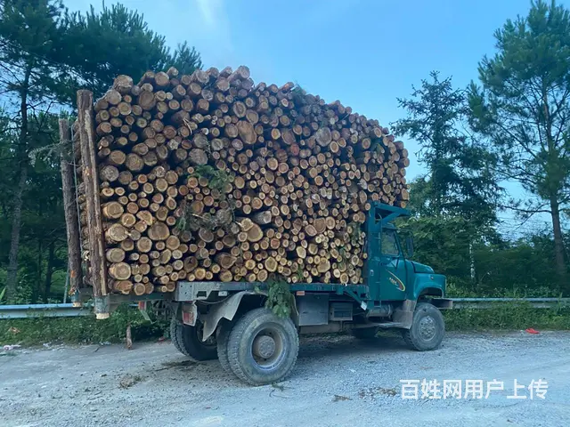 四驱钦机 - 图片 4