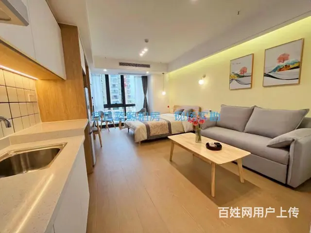 （多套可选 可押一付一~租期灵活）胜利4路星光天地 拎包入住 - 图片 4
